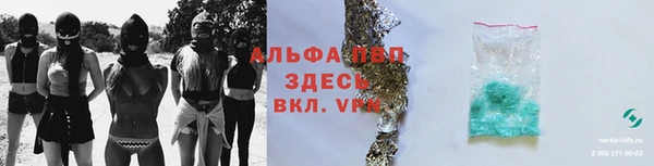 гидропоника Алзамай