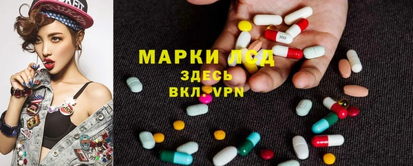 прущие грибы Алексин
